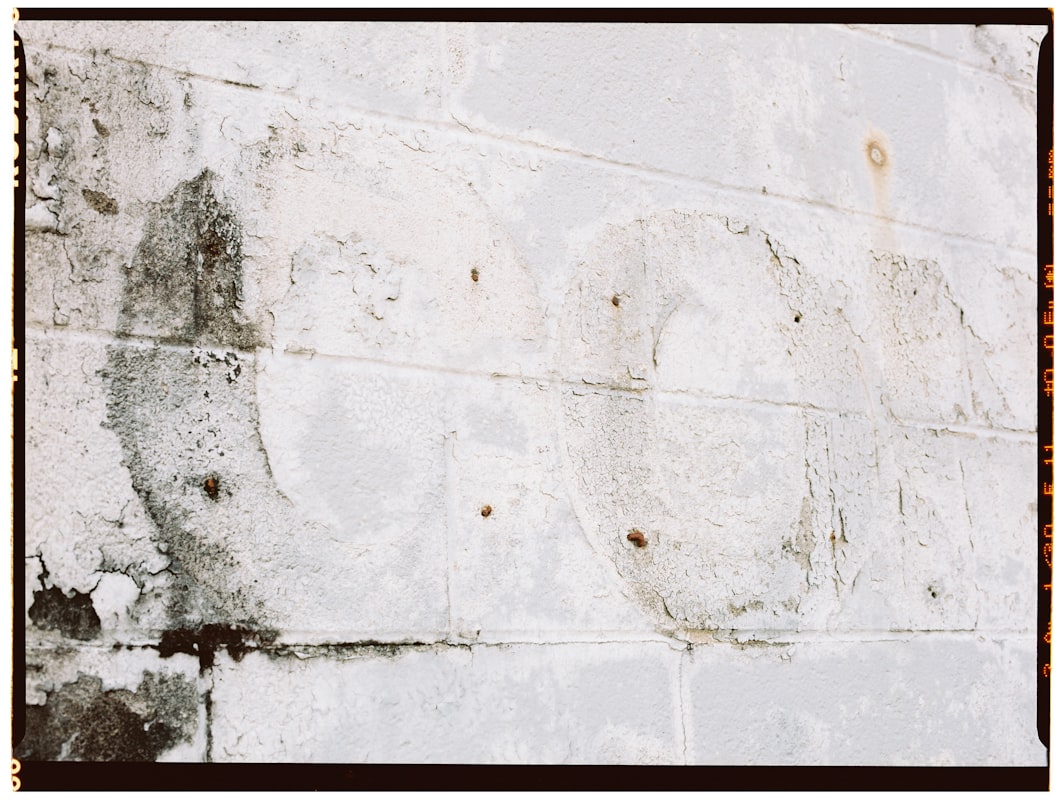 Mold Remediation service in Altoona, PA