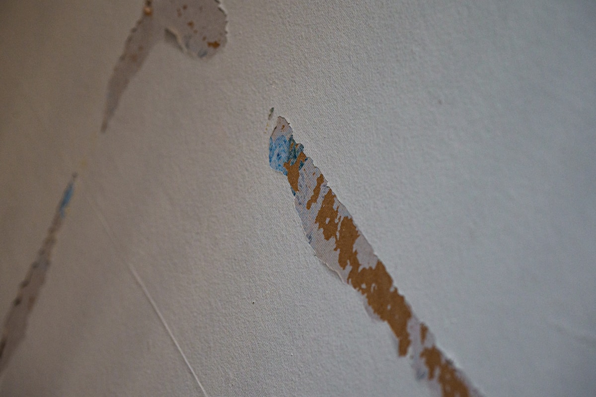 Storm Damage Repair service in Altoona, PA